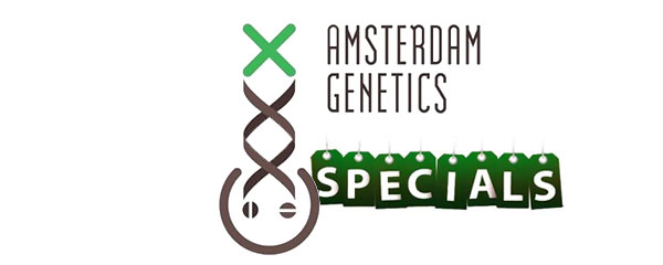 Amsterdam Genetics Specials