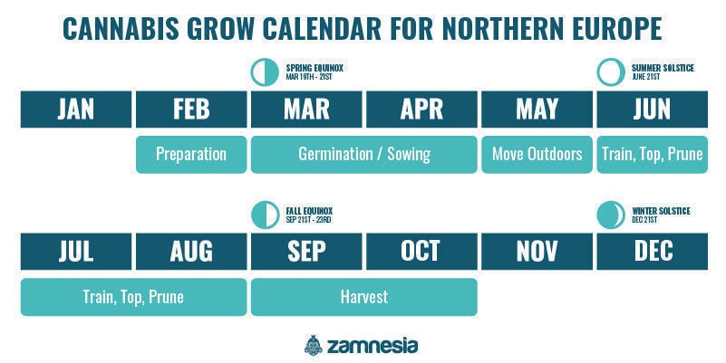 Cannabis grow calendar for northern Europe