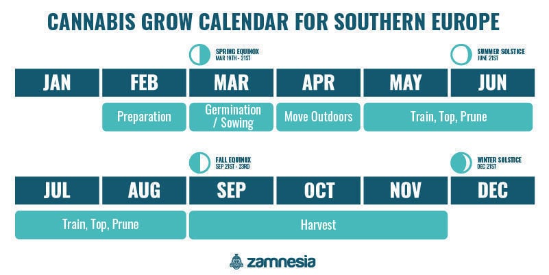 Cannabis grow calendar for southern Europe