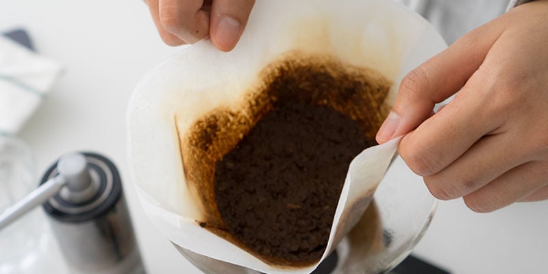 Which coffee grounds are the best for cannabis?