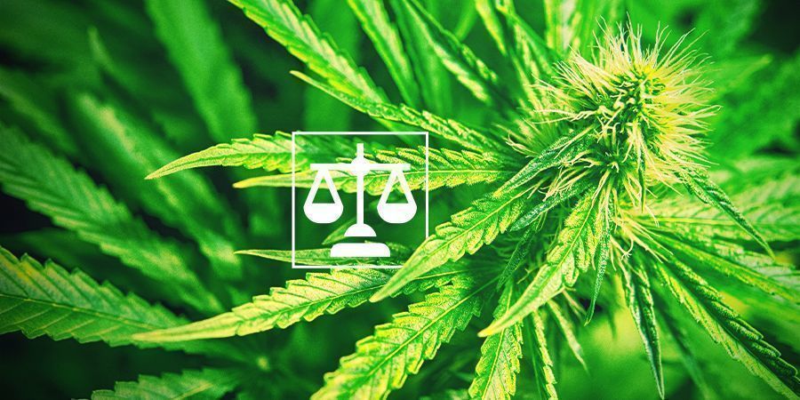 Legality Cannabis