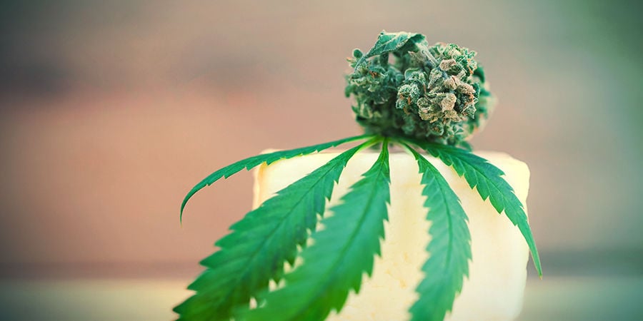 BIG BUDDHA CHEESE: FLAVOUR & EFFECTS