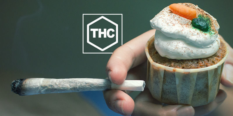 THC & Ghrelin Production