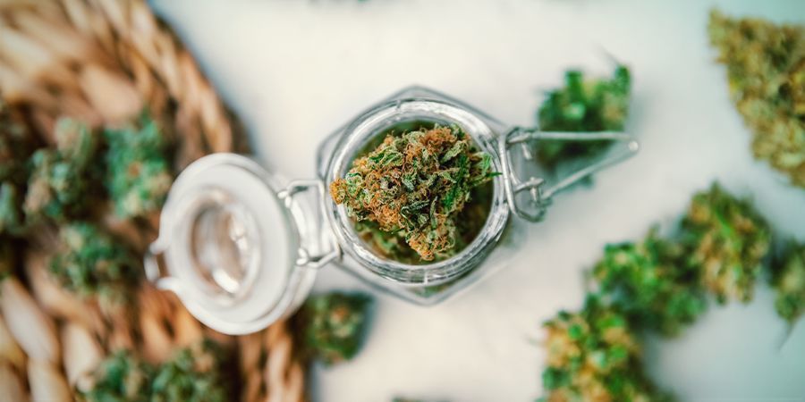 Benefits of Growing CBD-Rich Strains: You’ll Never Run Out of CBD-Rich Bud