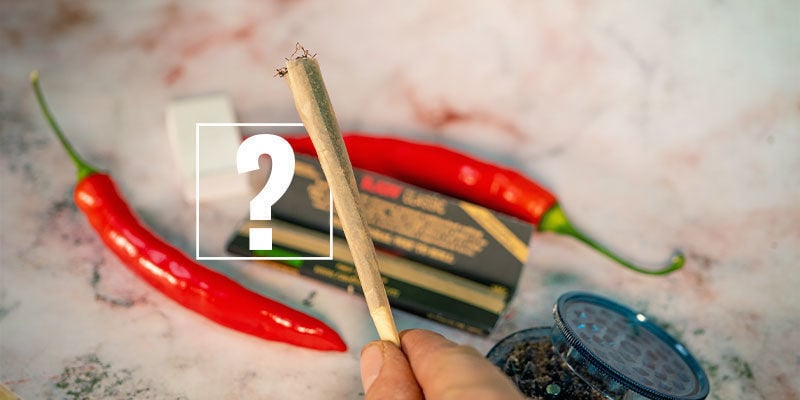 Hot Peppers and Cannabis: The Perfect Match?