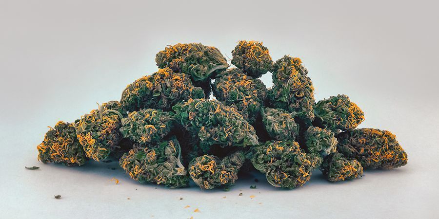 Yellow/Orange (Carotenoids) Cannabis Buds