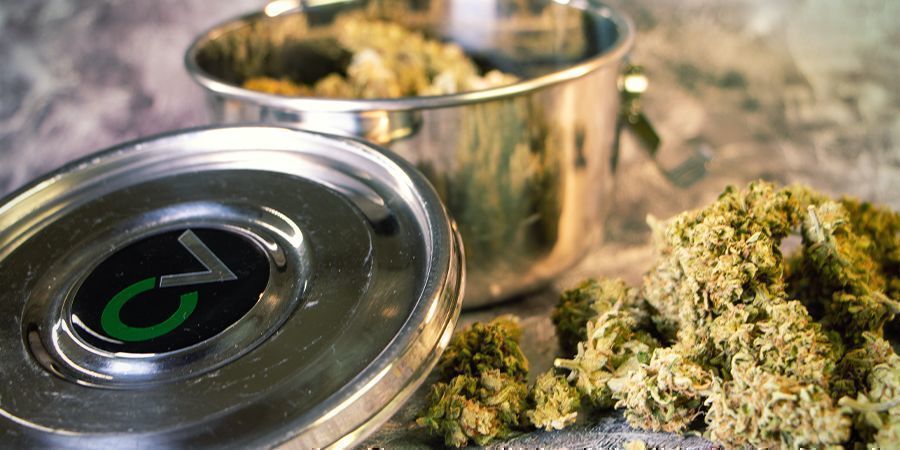 Rehydrate Your Cannabis Buds: Cannabis Humidifiers