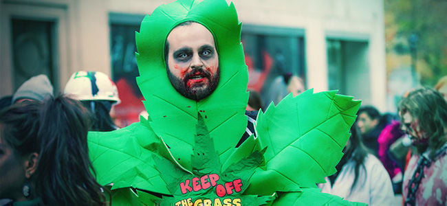 Create Your Own Cannabis-related Halloween Costume