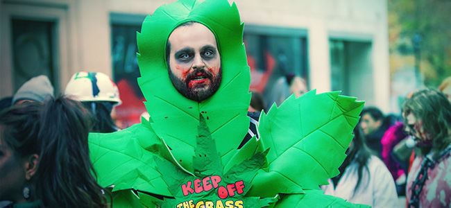 Create Your Own Cannabis-related Halloween Costume