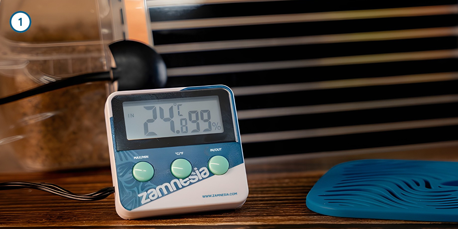 Cultivating magic mushroom mycelium at home