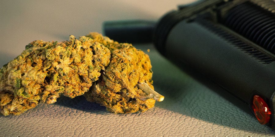 Entourage Effect With Weed