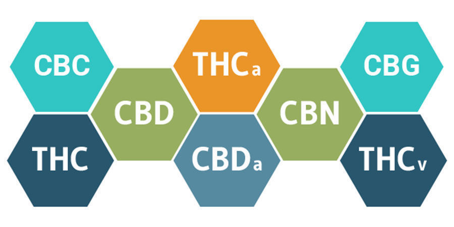 Entourage Effect and Cannabinoids