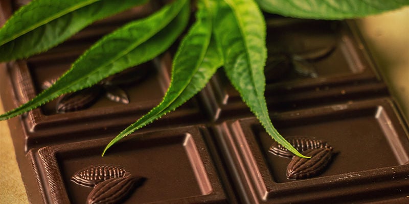 CHOCOLATE AND CANNABIS: THE PERFECT CHEMICAL PAIR