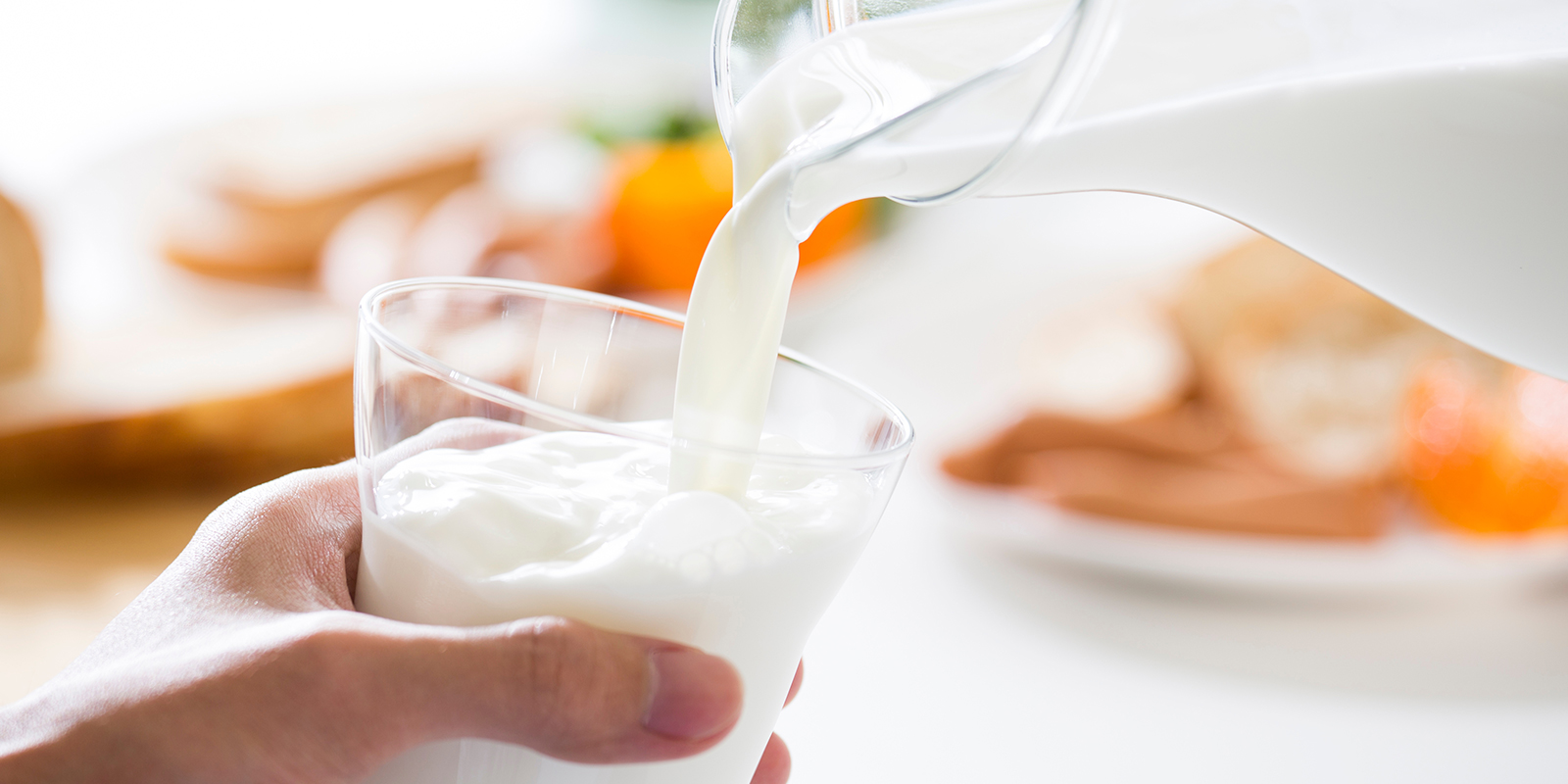 Myth 2: Milk cleans the urine