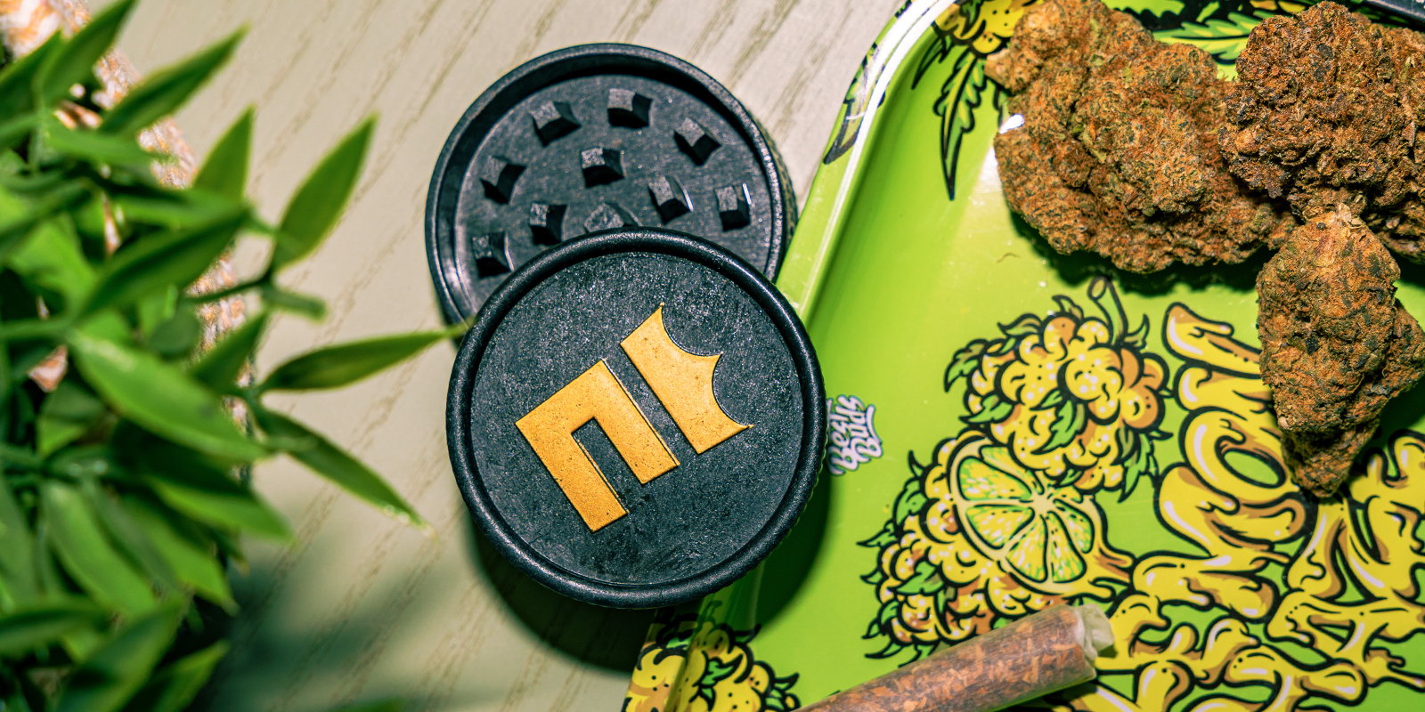 Biodegradable Hemp Grinder: Zamnesia