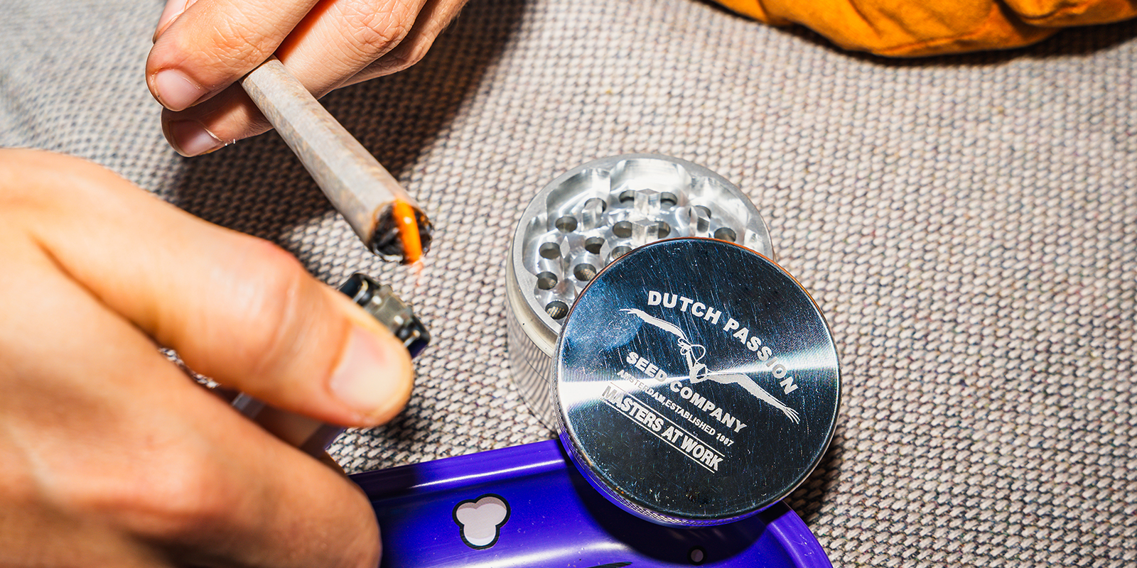 Dutch Passion Pollinator Grinder: Dutch Passion