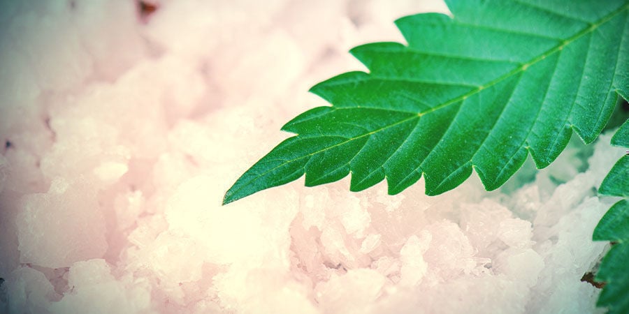 Cannabis Extract: CBD Crystals