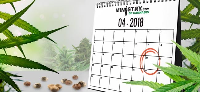 Seedbank Of The Month: Ministry Of Cannabis