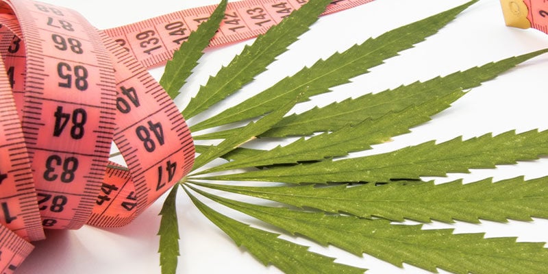 Understanding the link between weed and weight loss