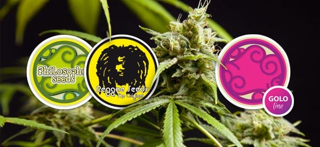 were currently experiencing, so now there are many seed banks