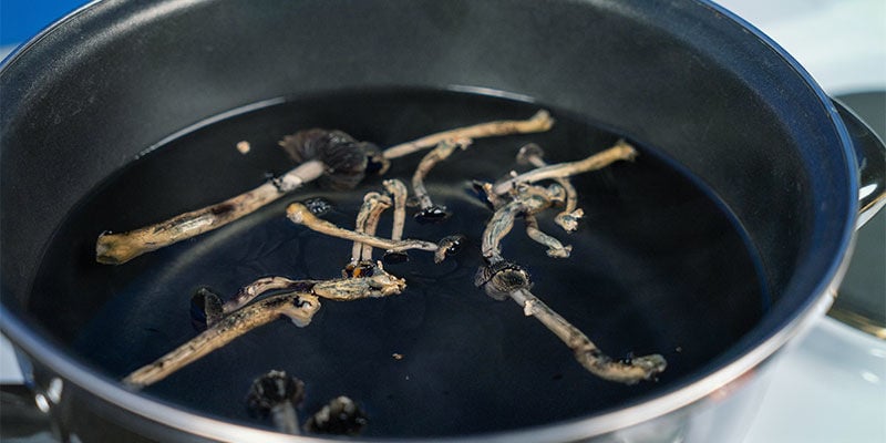 Should you cook magic mushrooms?