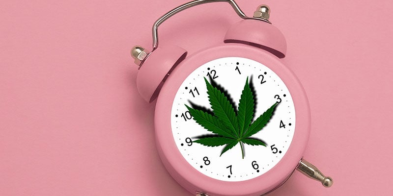 How long do THC metabolites stay in your system?