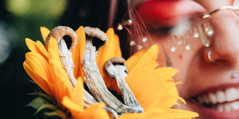 Legal status of entheogens