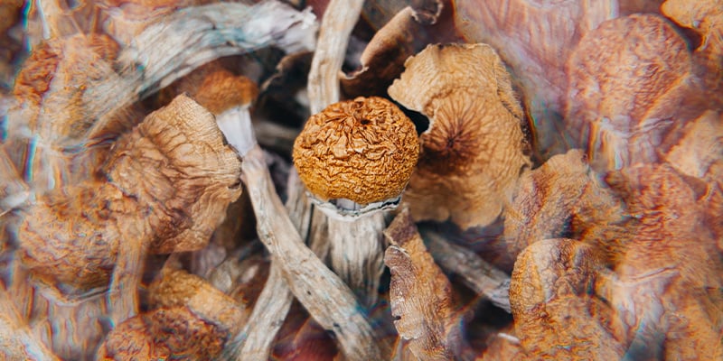 What are entheogens?