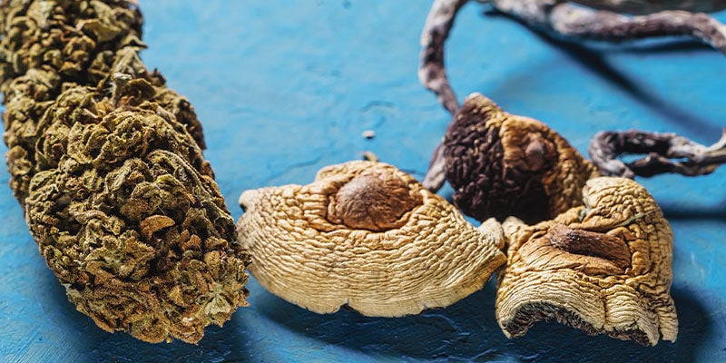 Is Mixing Cannabis With Magic Mushrooms A Good Idea?