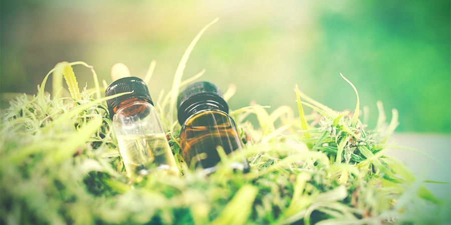 IF YOU FEEL YOURSELF MAKING TOO MANY ERRORS, CBD CAN HELP