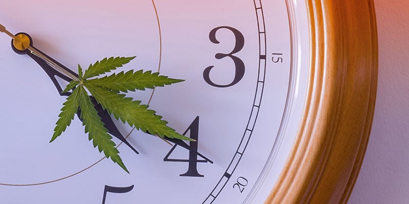 Consume cannabis at different times