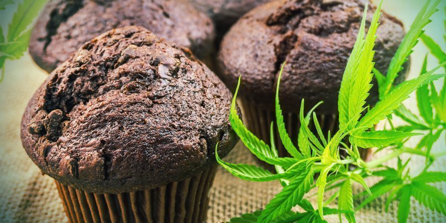 BIOAVAILABILITY: CANNABIS EDIBLES