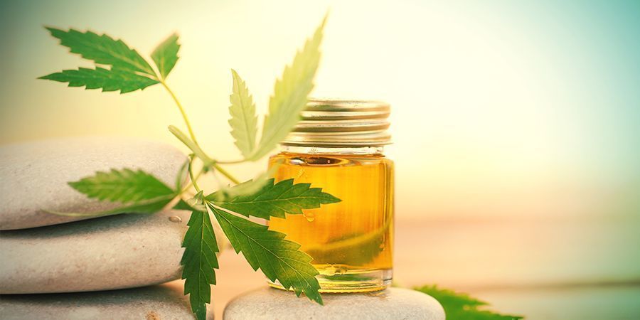 THE RECENT RISE OF CBD