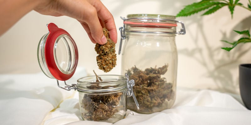 Burping Cannabis: A Crucial Part Of The Curing Process