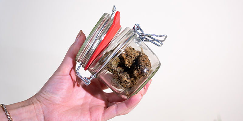 How To Properly Burp Your Cannabis Buds