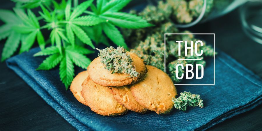 What’s The Difference Between CBD And THC Cannabis Edibles?