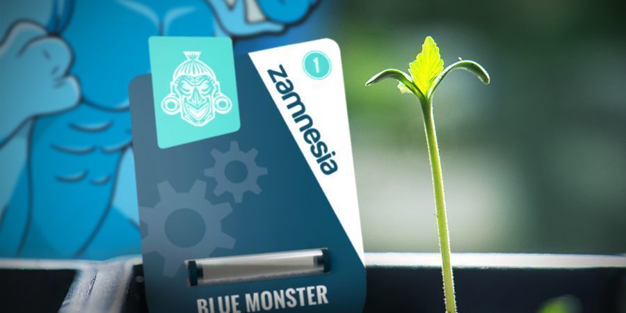 Growing Blue Monster Automatic