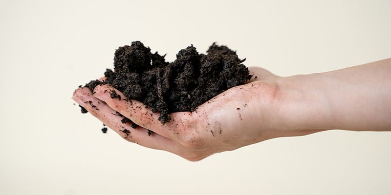 Recycled Organic Living Soil 
