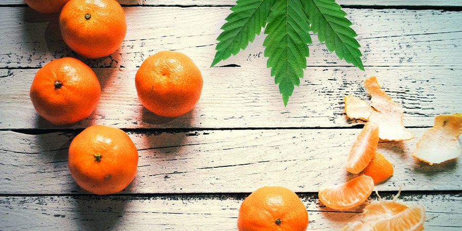 TANGERINE DREAM: FLAVOUR AND EFFECTS
