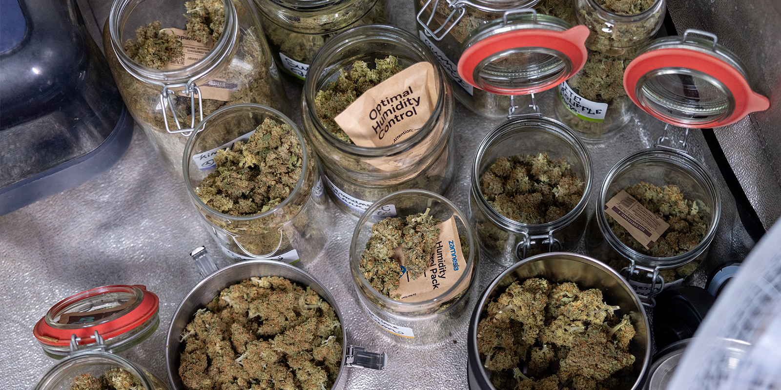 Grow smart, harvest big