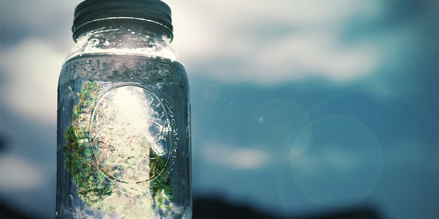 How to Make Cannabis Salt: Step-by-Step Instructions