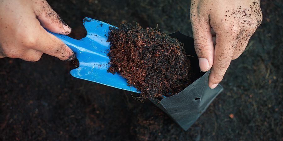 Why You Can’t Use Any Old Soil For Your Cannabis Plants