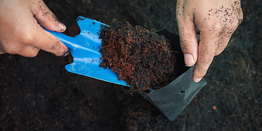 How To Make The Best Soil Mix For Growing Cannabis ...