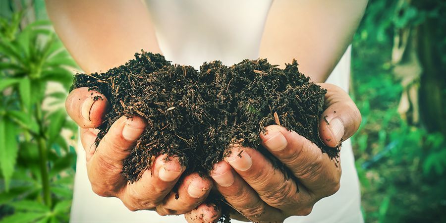 HOW TO MAKE YOUR OWN COMPOST FOR CANNABIS PLANTS