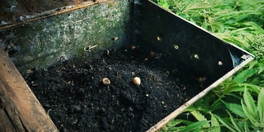 SIGNS THAT YOUR COMPOST IS READY