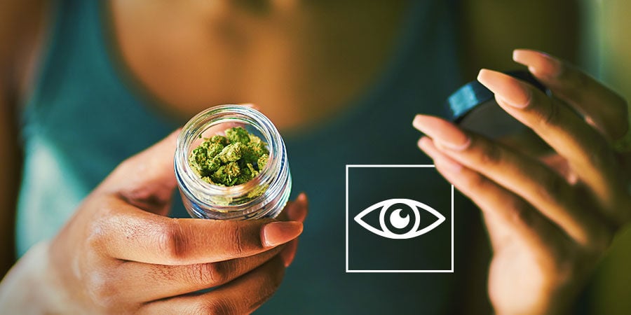 How To Detect Cannabis Contaminants: Inspect Your Cannabis Visually