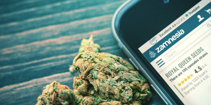 High vs Stoned: Is There Really a Difference? - RQS Blog