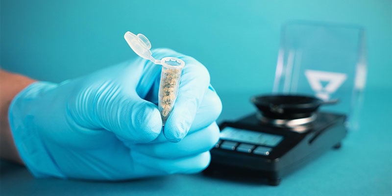 Why Test THC & CBD Levels in Cannabis Products?