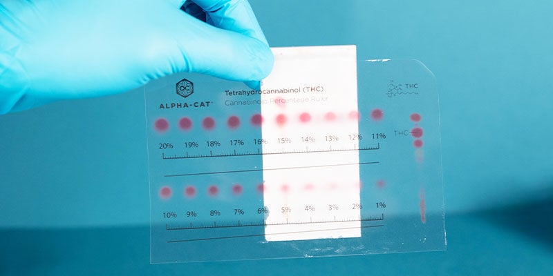 Which Cannabinoids Can Be Detected By The Alpha-cat Cannabinoid Test Mini Kit?