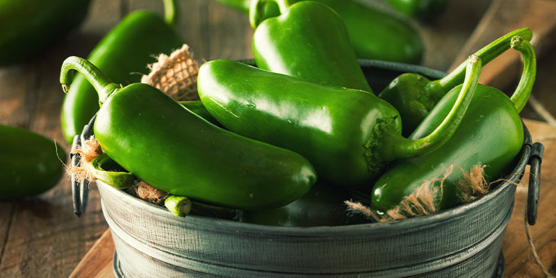 Begin Your Pepper Project Today — Just One Step From Jalapeño Heaven